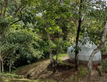 Dome, treelined creek