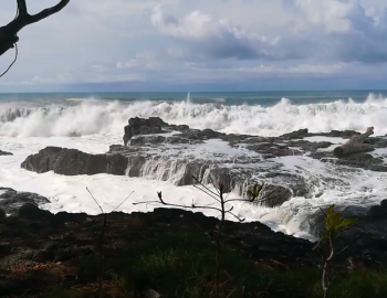 nearby Montezuma beach